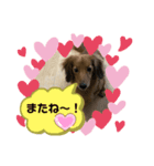 東 奈蝶のワンコスタンプ5（個別スタンプ：2）