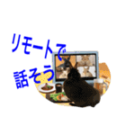 コロナ禍中〜うさぎの癒しスタンプ（個別スタンプ：9）