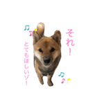 嗚呼、愛しきポンやん（個別スタンプ：2）
