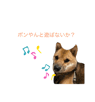 嗚呼、愛しきポンやん（個別スタンプ：4）