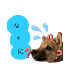 嗚呼、愛しきポンやん（個別スタンプ：9）