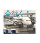 飛行機好きのためだけのスタンプ！！（個別スタンプ：6）