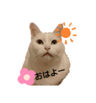 うーちゃんとみーちゃん（個別スタンプ：2）