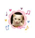 うーちゃんとみーちゃん（個別スタンプ：9）