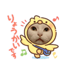 うーちゃんとみーちゃん（個別スタンプ：13）