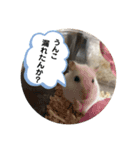 はすかちゃん3（個別スタンプ：7）