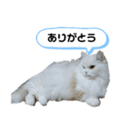おとぽての日常（個別スタンプ：18）