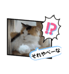 おとぽての日常（個別スタンプ：30）