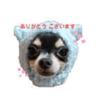 バブピースタンプVol.2（個別スタンプ：3）