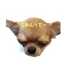 バブピースタンプVol.2（個別スタンプ：9）