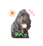 バブピースタンプVol.2（個別スタンプ：20）
