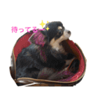 バブピースタンプVol.2（個別スタンプ：23）