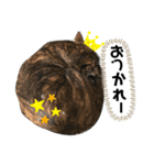 イケてるわんこ（個別スタンプ：2）