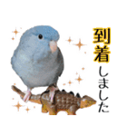 とあるサザナミインコの日常（個別スタンプ：20）