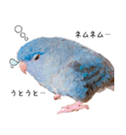 とあるサザナミインコの日常（個別スタンプ：32）