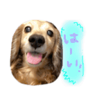 茶ベニ時々あーちゃん2（個別スタンプ：4）