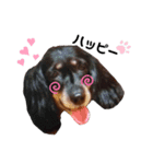 ルイるあ with ハッピー（個別スタンプ：4）