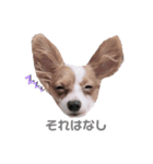 ルイるあ with ハッピー（個別スタンプ：6）