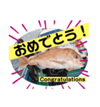 はまかぜスタンプ‼︎（個別スタンプ：8）