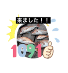 はまかぜスタンプ‼︎（個別スタンプ：20）