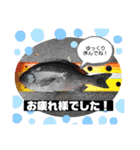はまかぜスタンプ‼︎（個別スタンプ：21）