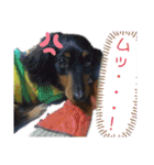 我が家の天使たち2（個別スタンプ：2）