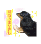 我が家の天使たち2（個別スタンプ：4）