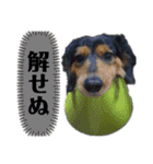 我が家の天使たち2（個別スタンプ：5）