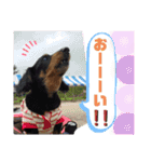 我が家の天使たち2（個別スタンプ：8）