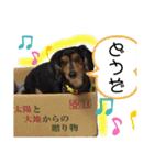 我が家の天使たち2（個別スタンプ：9）