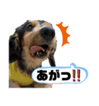 我が家の天使たち2（個別スタンプ：10）