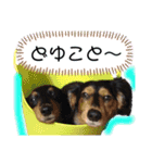我が家の天使たち2（個別スタンプ：12）