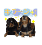 我が家の天使たち2（個別スタンプ：14）