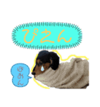 我が家の天使たち2（個別スタンプ：16）