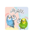 ひまうみスタンプ（個別スタンプ：5）