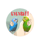 ひまうみスタンプ（個別スタンプ：9）