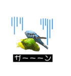ひまうみスタンプ（個別スタンプ：10）