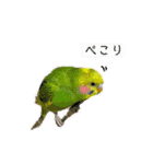 ひまうみスタンプ（個別スタンプ：13）