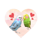 ひまうみスタンプ（個別スタンプ：15）