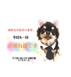 ニコ♡ちゃんスタンプ（個別スタンプ：2）