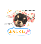 ニコ♡ちゃんスタンプ（個別スタンプ：5）