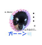 ニコ♡ちゃんスタンプ（個別スタンプ：6）