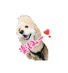 アメコカの日常(∪・ω・)（個別スタンプ：6）