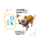☆ダイ君☆スタンプ（個別スタンプ：5）