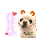 ☆ダイ君☆スタンプ（個別スタンプ：8）