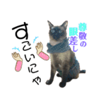シャム猫ミックスのスタンプfull（個別スタンプ：15）