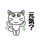 ねこスタンプ白猫 男女兼用（個別スタンプ：6）