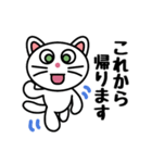 ねこスタンプ白猫 男女兼用（個別スタンプ：12）