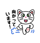 ねこスタンプ白猫 男女兼用（個別スタンプ：14）