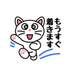 ねこスタンプ白猫 男女兼用（個別スタンプ：16）